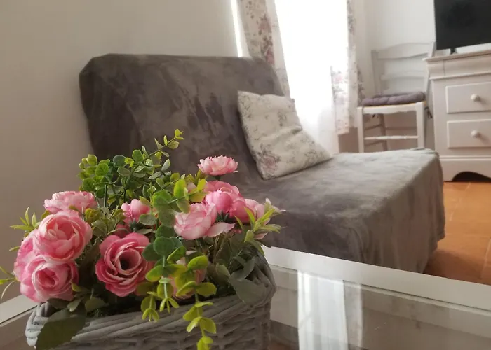 Joli T2 De 40M² A Louer A Le Muy